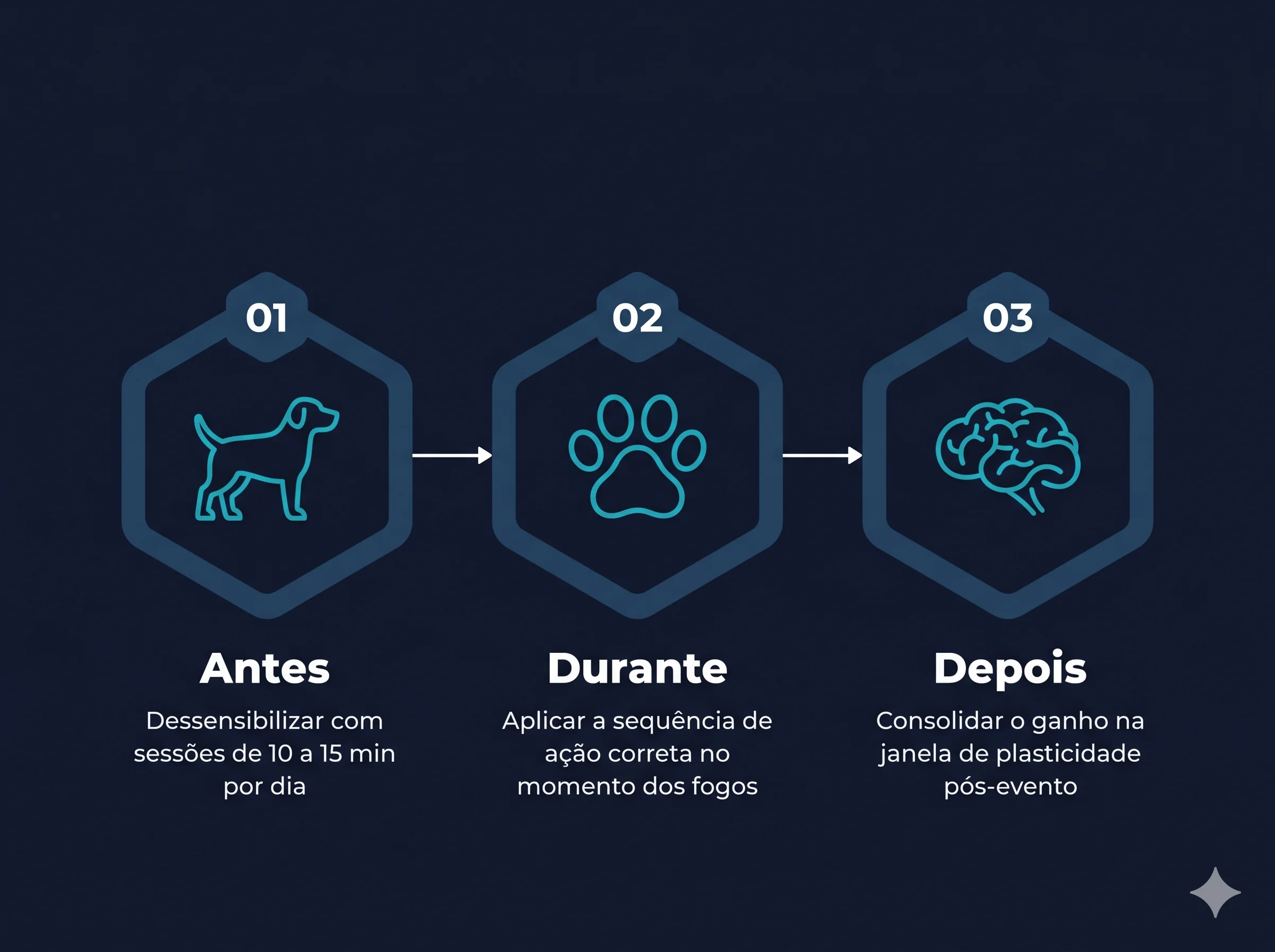 Protocolo ADD: Antes, Durante e Depois