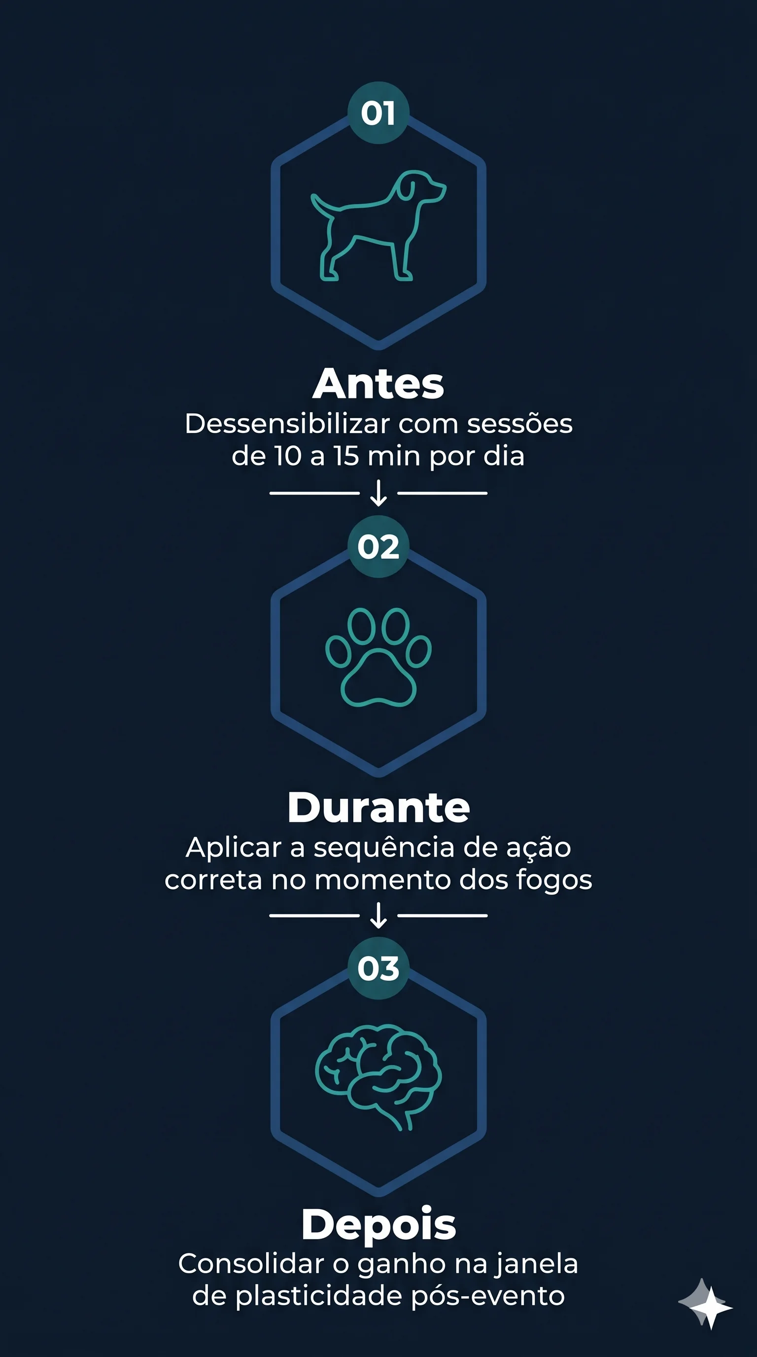 Protocolo ADD: Antes, Durante e Depois